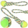 Dog toy Springos PA0276