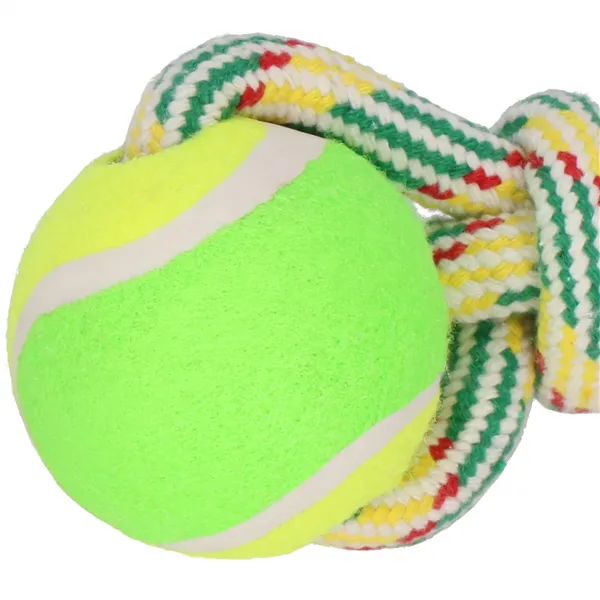 Dog toy Springos PA0276