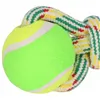 Dog toy Springos PA0276