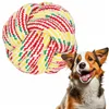 Dog toy, ball Springos PA0277