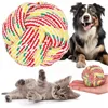 Dog toy, ball Springos PA0277