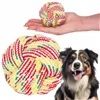 Dog toy, ball Springos PA0277