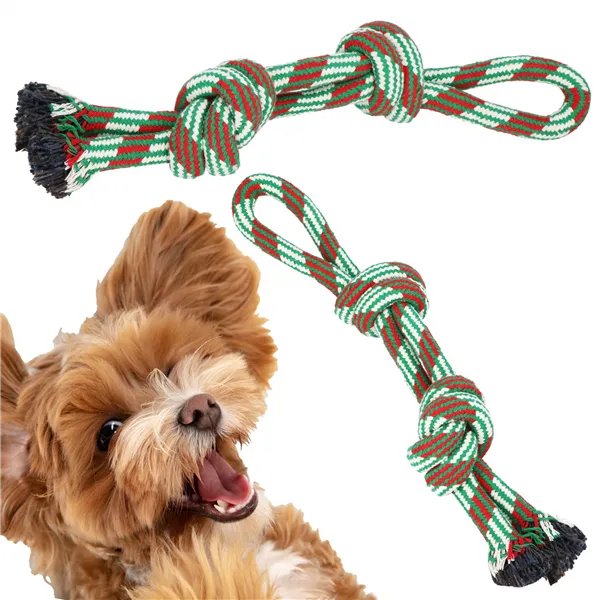 Dog toy Springos PA0278