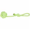 Dog toy Springos PA0279