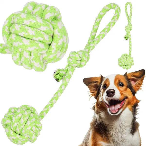 Dog toy Springos PA0279