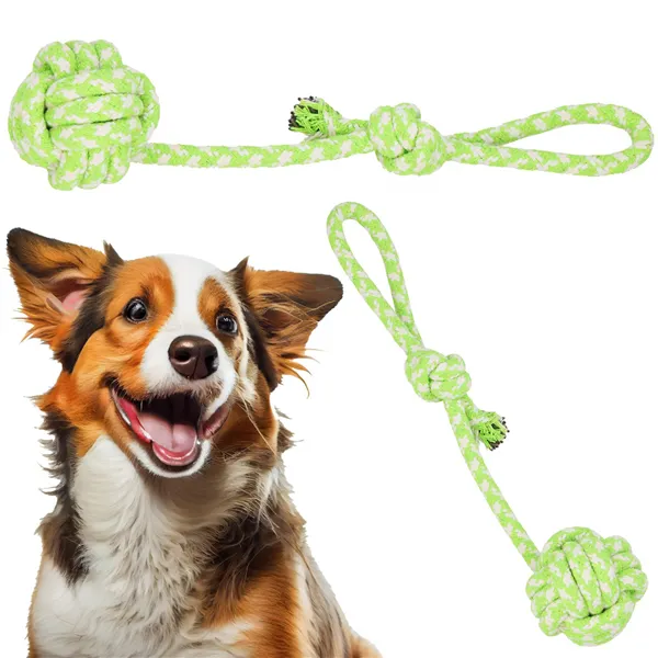 Dog toy Springos PA0279