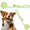 Dog toy Springos PA0279