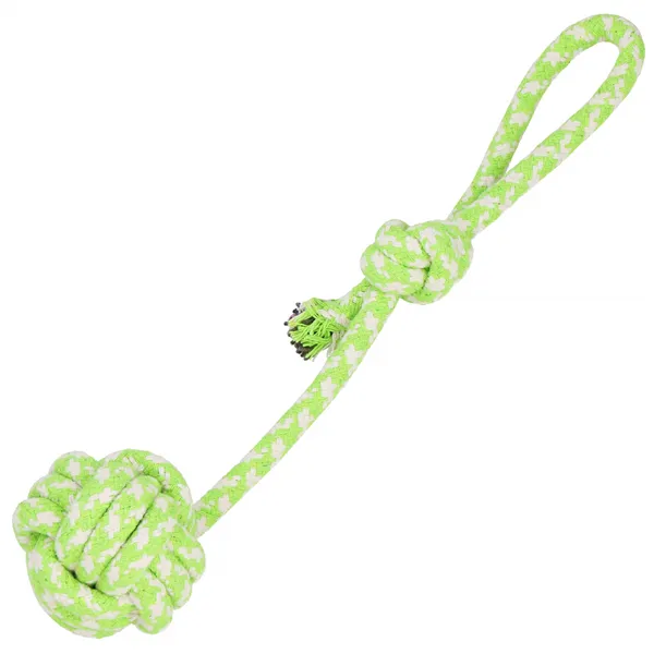 Dog toy Springos PA0279