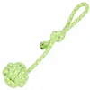 Dog toy Springos PA0279