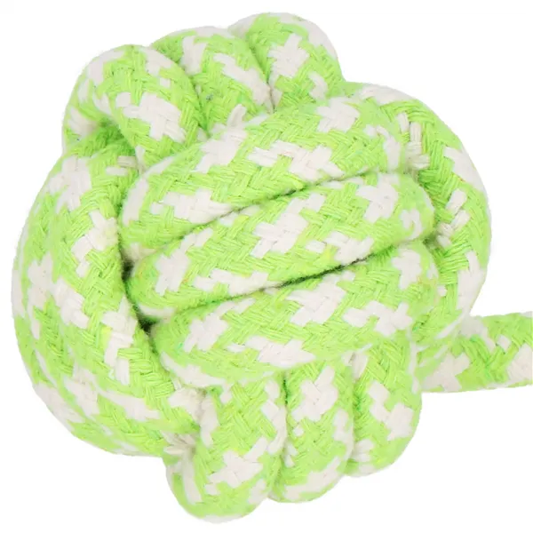 Dog toy Springos PA0279