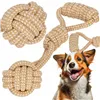 Dog toy Springos PA0280