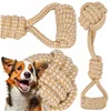 Dog toy Springos PA0280