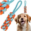 Dog toy Springos PA0283