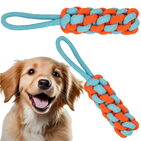 Dog toy Springos PA0283