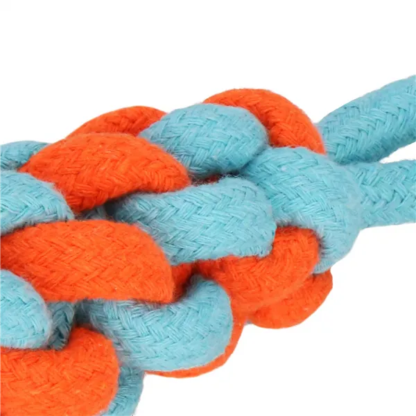 Dog toy Springos PA0283