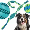 Dog toy Springos PA0292