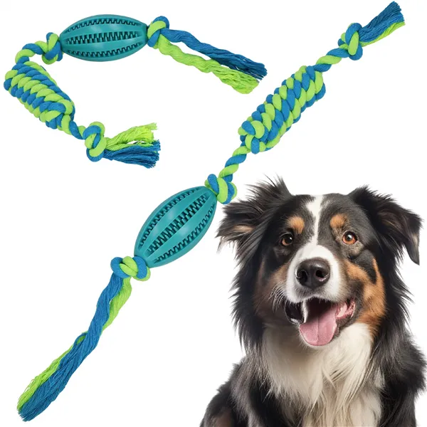 Dog toy Springos PA0292