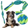 Dog toy Springos PA0292