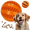 Dog chew toy Springos PA0291