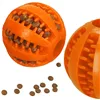 Dog chew toy Springos PA0291