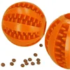 Dog chew toy Springos PA0291