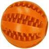 Dog chew toy Springos PA0291