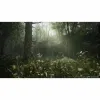 Xbox Series X vaizdo žaidimas Just For Games Metal Gear Solid δ: Snake Eater