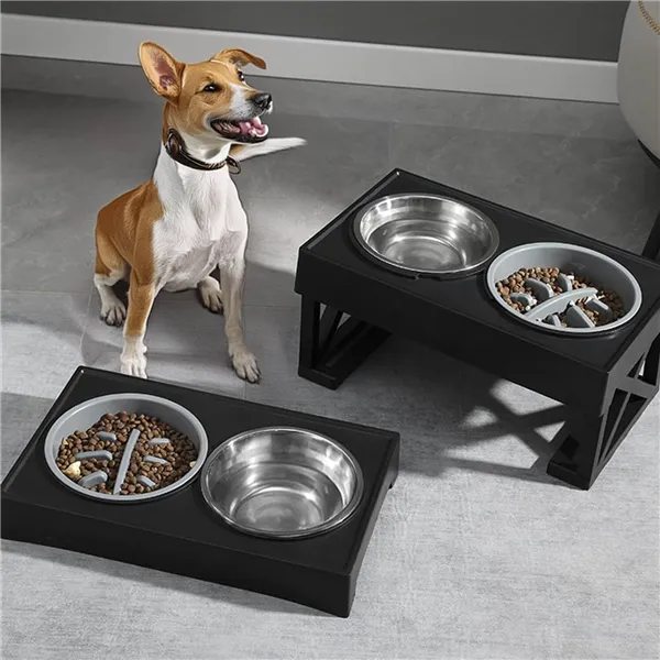 Pet Bowls Spring PA0333