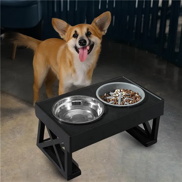 Pet Bowls Spring PA0333