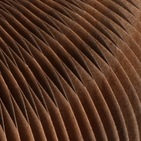 Игрушка для кошек Springos PA0323