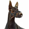 Dog muzzle Springos PA0271