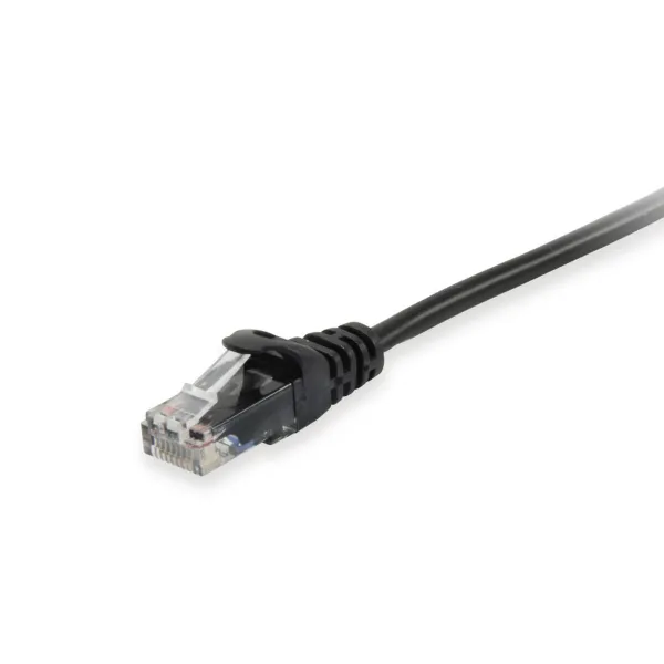 Česnakų presas Springos KI0079 15,5 cm | Pirkti internetu — Megaluks