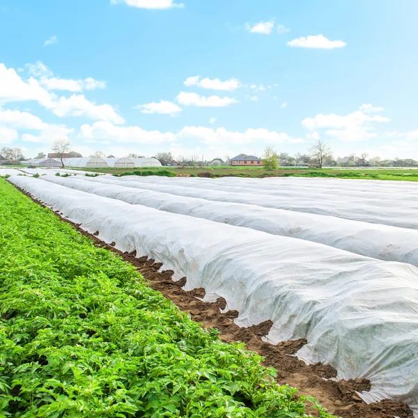 Winter agrotextile Springos AG0018 50g/m2 10x1,1m white