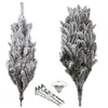 Caucasian snow fir Springos CT0125 220cm