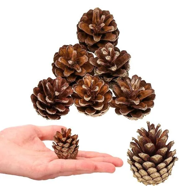 Kūgių rinkinys Springos CT0109 6 vnt.