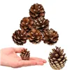 Set of cones Springos CT0109 6 pcs.