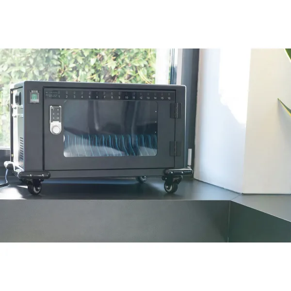 Seinakinnitusega Serverikapp Digitus by Assmann DN-45007