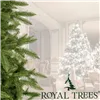 CT0194 Artificial Christmas tree 180 cm Premium Royal Trees, natural Christmas tree with wooden stand