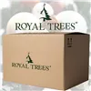 CT0194 Artificial Christmas tree 180 cm Premium Royal Trees, natural Christmas tree with wooden stand