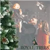 CT0191 Artificial Christmas tree 220 cm Premium Royal Trees, snowy diamond pine with cones