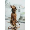 Koerarihm Hunter Pruun 200 cm