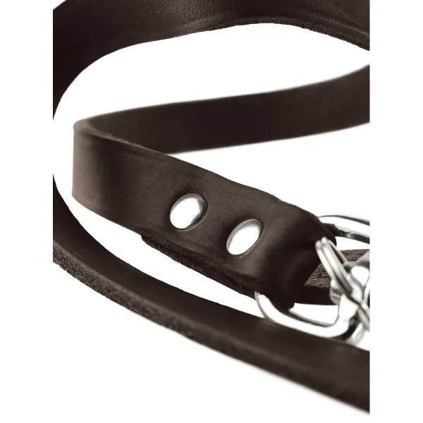 Suņa pavadas Hunter Brūns 2 m Adjustable Āda