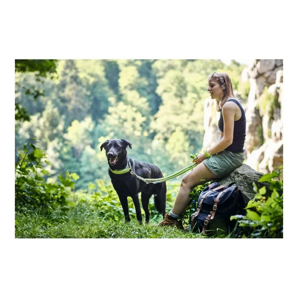 Koerarihm Hunter HILO Pruun (200 cm)