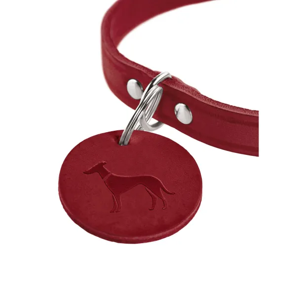 Koera kaelarihm Hunter Aalborg Punane M 38-47 cm