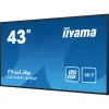 Monitorius Iiyama LE4341S-B2 Full HD 43"
