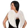 Angel Wings White