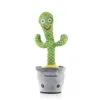 Rechargeable Dancing and Talking Cactus with Music and Multicoloured LED Cacxi InnovaGoods