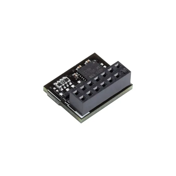 Võrgukaart Asus TPM-SPI 2.0