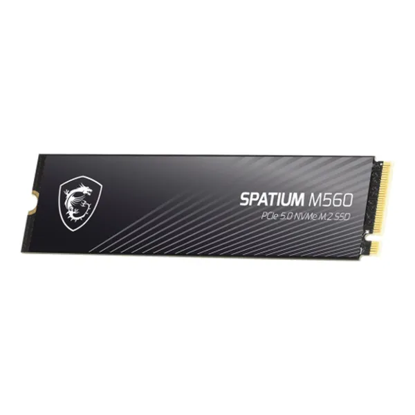 Kietasis diskas MSI SPATIUM M560 PCIE 5.0 NVME M.2 2TB 2 TB SSD