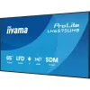 Monitorius Iiyama LH6575UHS-B2AG 65" 4K Ultra HD